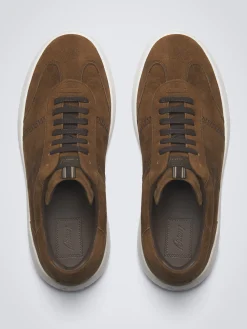 Brown suede Olympia sneakers