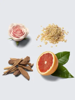 Eau de Parfum Éclat 100ml